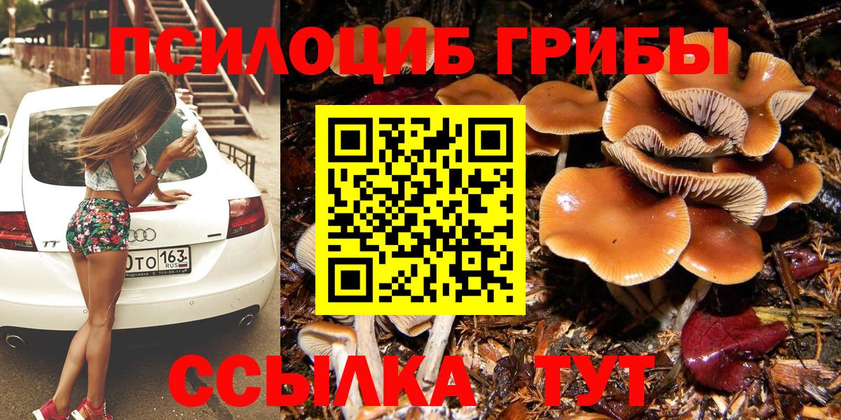 Майкоп  где продают   Вход с VPN  Псилоцибиновые грибы прущие грибы  Псилоцибиновые грибы Psilocybine cubensis 