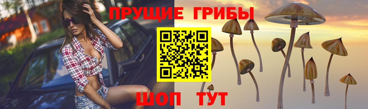 Галлюциногенные грибы MAGIC MUSHROOMS Майкоп